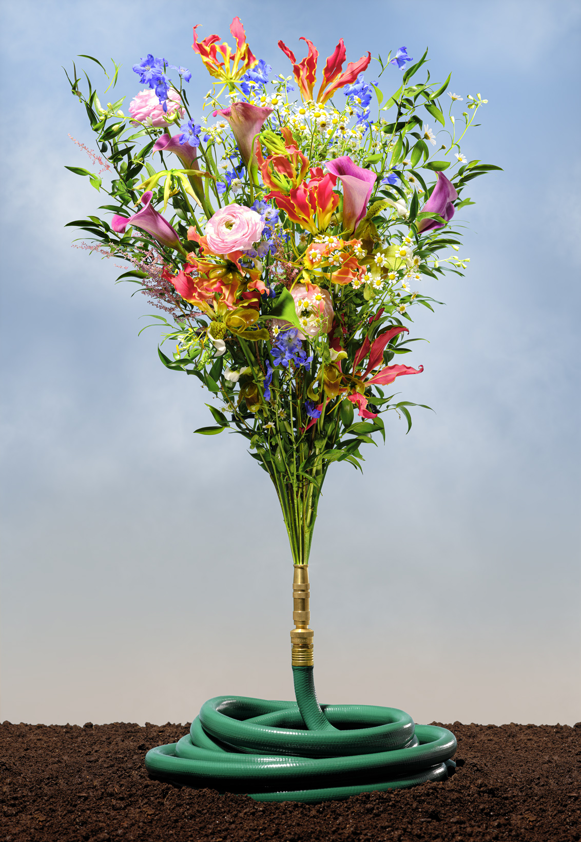 HoseFlowers3106_JG1_1640pxH